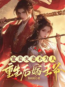 宠妾灭妻后悔重生